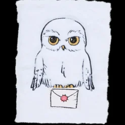 Kleuren & Tekenen-Harry Potter notitieboek A5 | Action NL