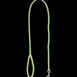 Dierenbenodigdheden|Hond- Hondenriem | Action NL