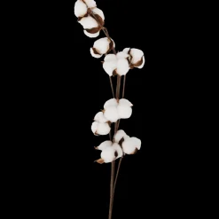Kunstplanten & -Bloemen- Katoentak | Action NL