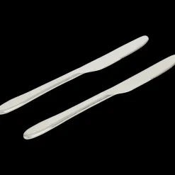 Bestek- Messen Zilver 2 Stuks | Action NL