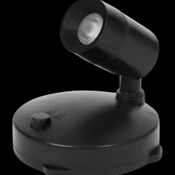 Tuindecoratie- Planten spotlight | Action NL