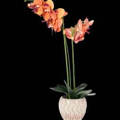 Kunstplanten & -Bloemen- The Hamptons Collections HOME orchidee in pot | Action NL