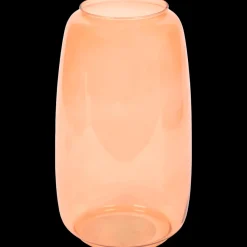 Potten & Vazen- Vaas Evi | Action NL