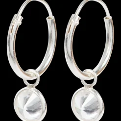 Horloges & Sieraden- Zilveren oorbellen | Action NL